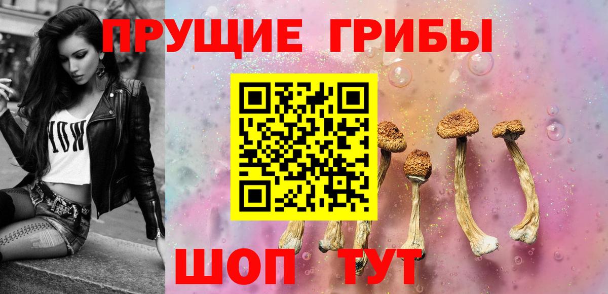 Псилоцибиновые грибы ЛСД Бузулук