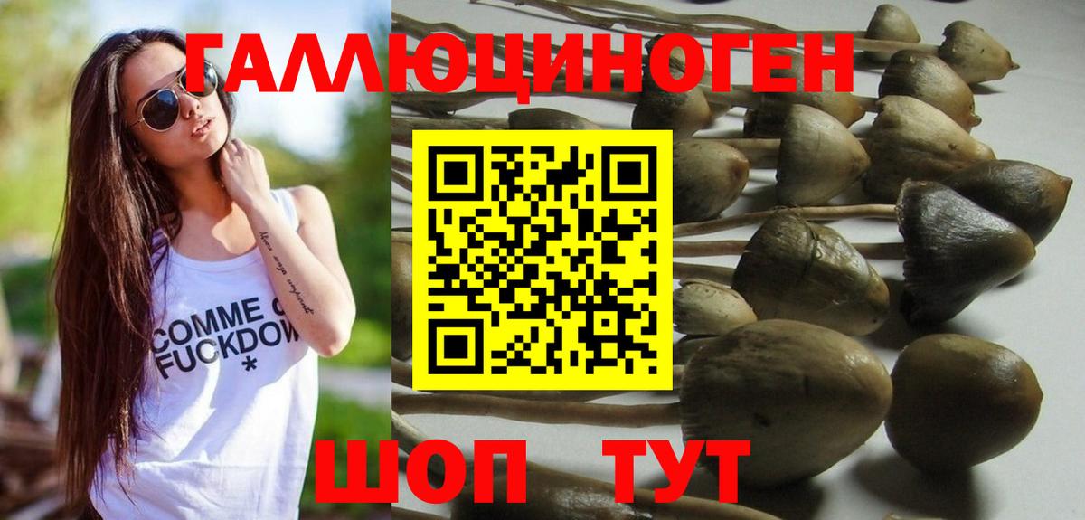 даркнет сайт  Вход с VPN  Бузулук  Галлюциногенные грибы MAGIC MUSHROOMS 